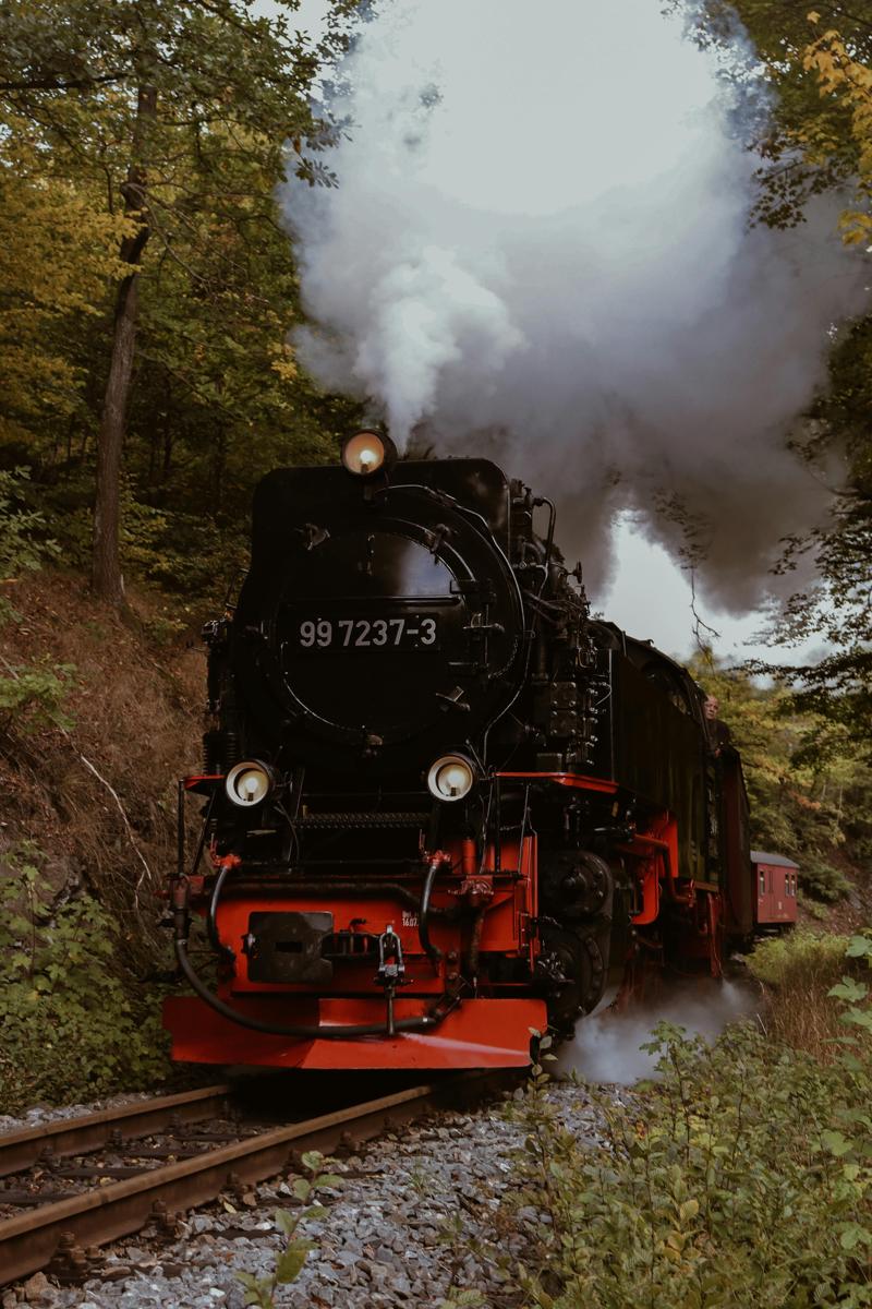 scenic train
